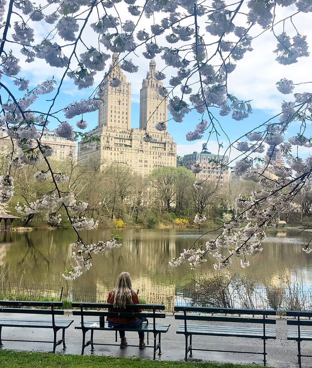 53 West 53 Above MoMA tweet media