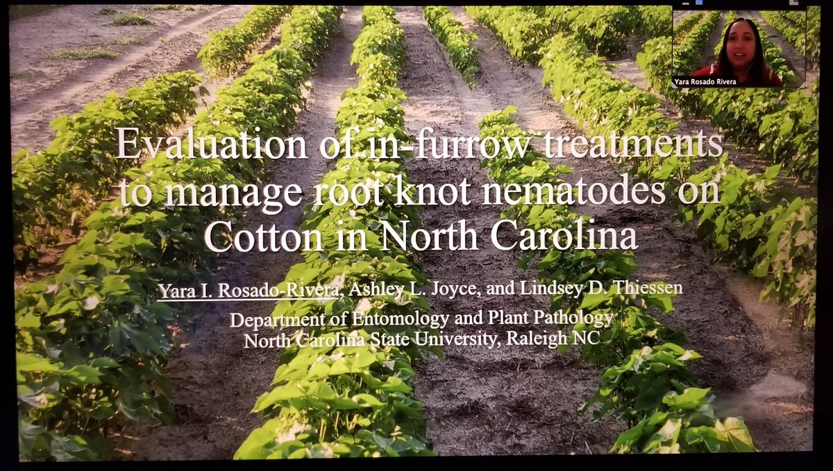 <a href="/yara_rosado/">Yara I. Rosado</a> showing off an interesting poster looking into in-furrow treatments to manage root knot nematodes in cotton at #SDAPS2021