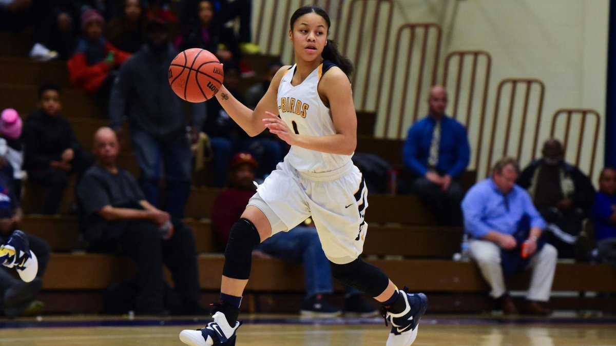 Southsuburbanhoops tweet media