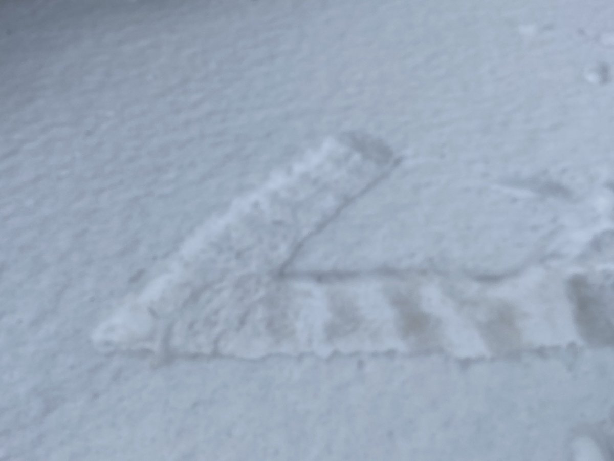 OreotheP's tweet photo. Behold the snow angle!  #snowday #HaveaGreatDay https://t.co/d5KHatbrvn