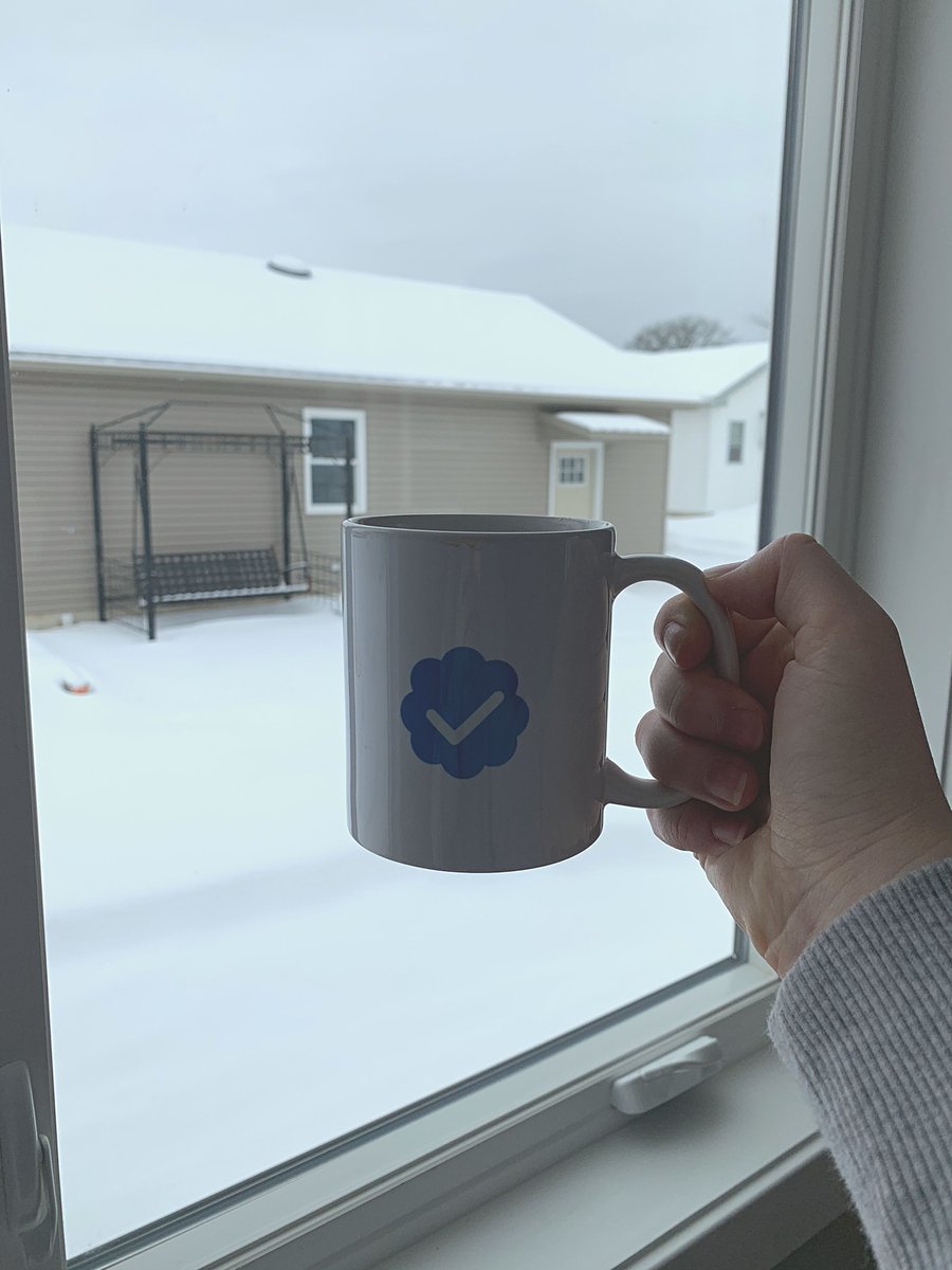 Our views for the day!! ❄️☀️💻☕️