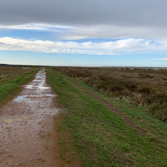 TinsmithsHouse's tweet photo. Bracing walk at Blakeney, North Norfolk this afternoon. The blue sky broke through the clouds to reveal the hope of a brighter week ahead as we move closer to the Spring...
-
#aylsham #bedandbreakfast #staycation #norfolk #hospitality #emergence #covidsafe https://t.co/2WXiGTMUPC