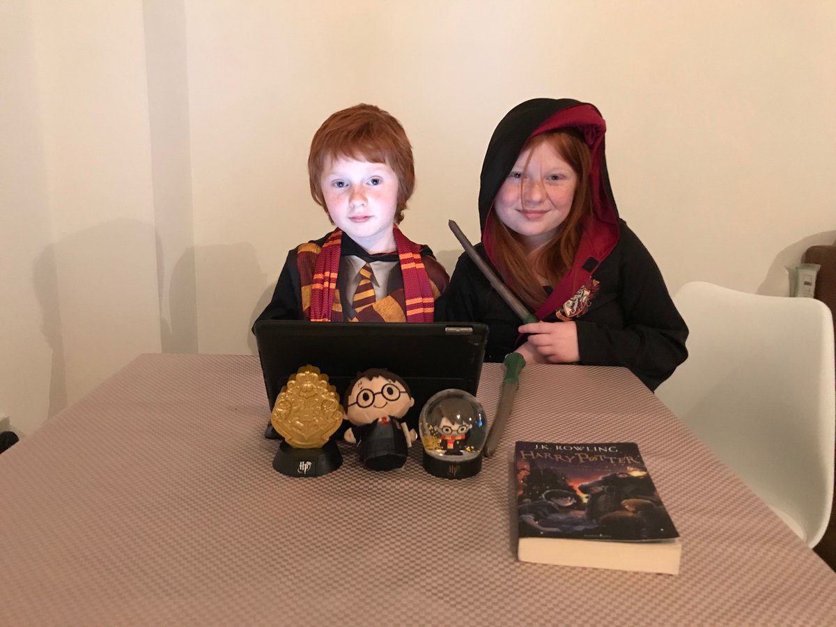KellyJaneDavies's tweet photo. Ron and Ginny ready for the #skyVIP Harry Potter Quiz. They are called The Ginger Goblins and obviously House Gryffindor https://t.co/lKQNPlkByF