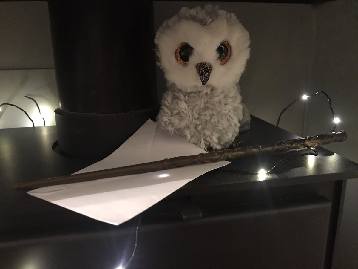 Our lucky mascot #skyvip Hootie