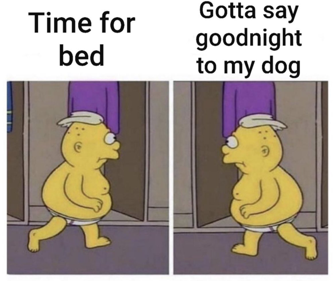 Respectful Memes (@respectfulmemes) on Twitter photo 