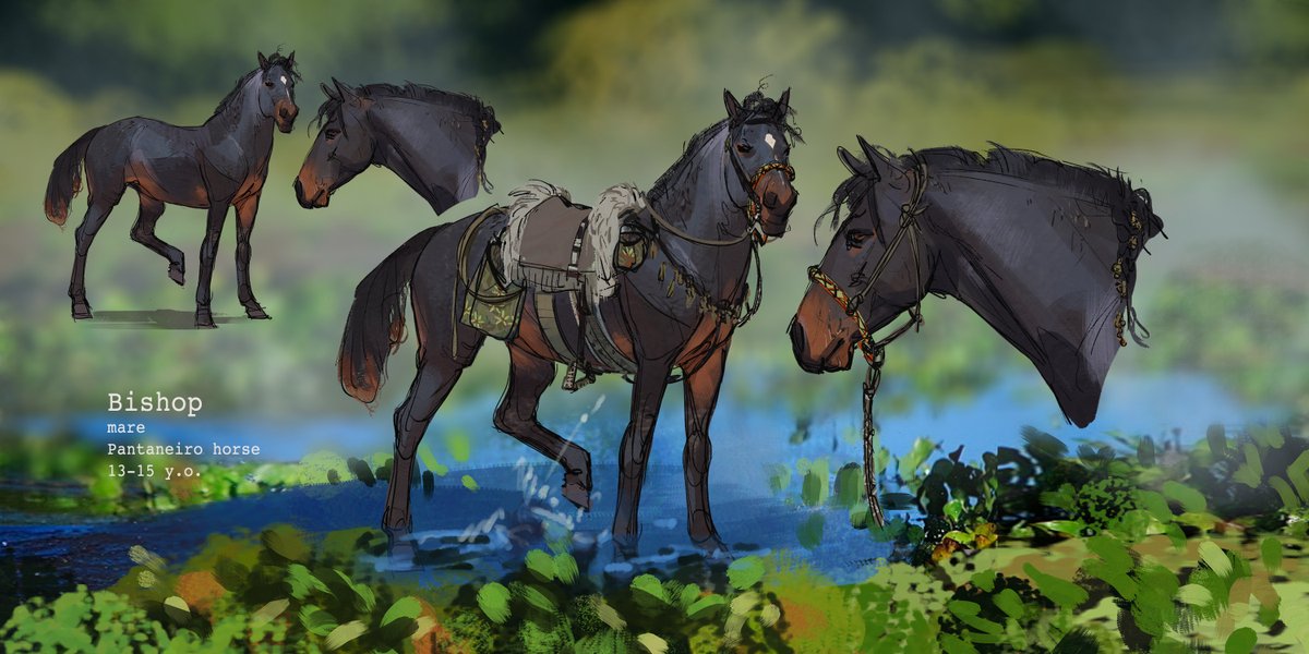 zephuko's tweet photo. #AnimalArtistsUnite okay I may be drawing horses almost exclusively but can u blame me look at these majestic creatures

-insert clip of horse slipping awkwardly- https://t.co/AYxJM0UrcA