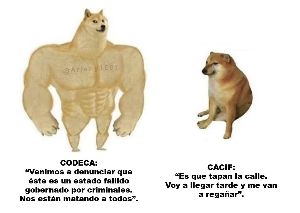 #CodecaEsDignidad