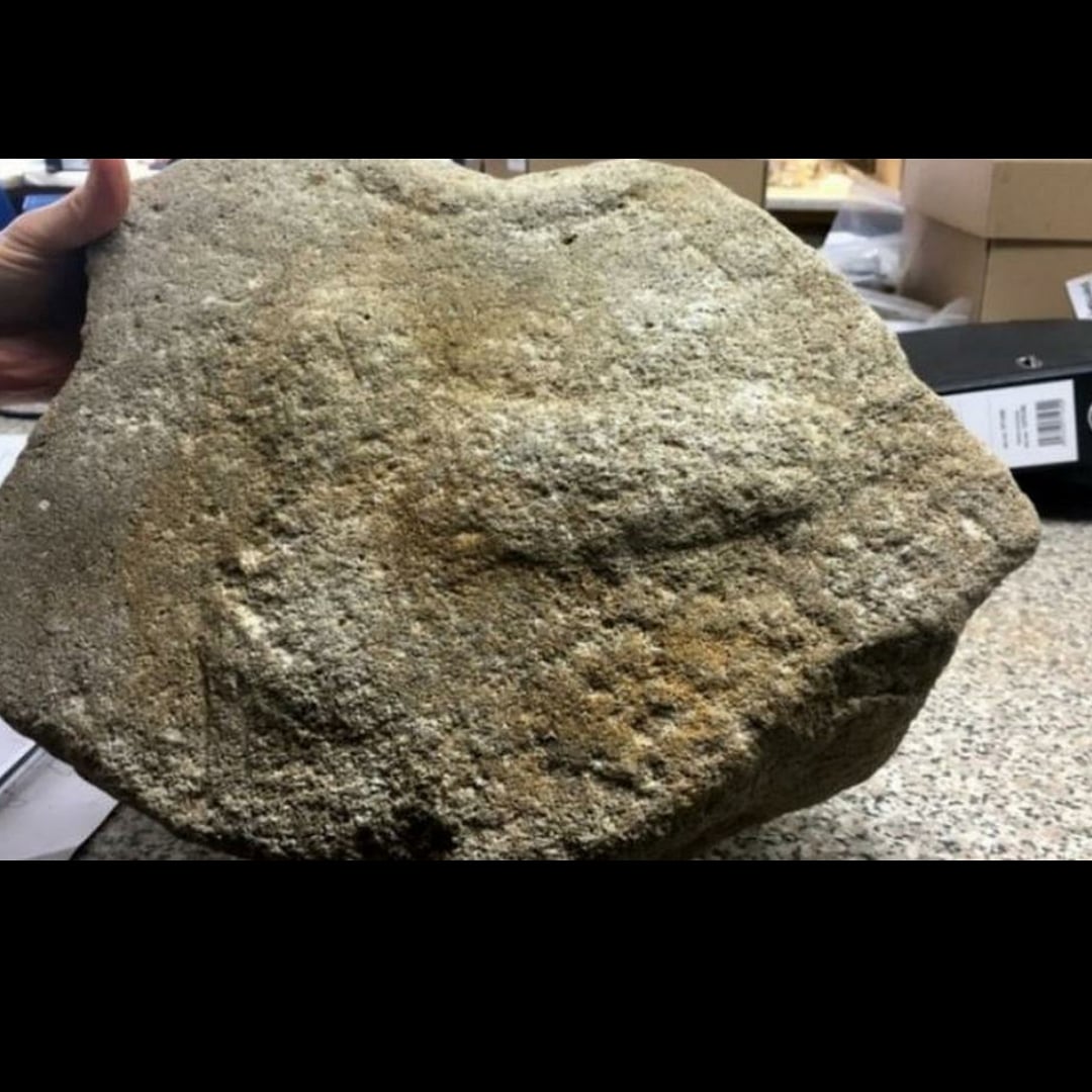 Phallic symbols were seen as signs of virility during the roman era. This one recently discovered in Cambridgeshire.
What we see is vibrators this way 👉👉👉
<a href="/bbcnews/">BBC News (UK)</a> 
#theloreof #vibrators #yesplease #thiswayladies #follow #cambridge #history #historical #historylovers #roman