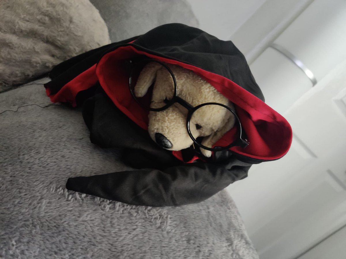 liz8704's tweet photo. Harry Potter quiz ready!! My daughter and her favourite teddy ‘Tommy’ #skyvip #harrypotterquiz https://t.co/Jw16ML9KW6