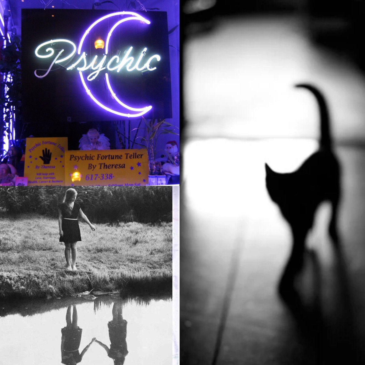 DebbieFiles's tweet photo. A new episode of Deadly Debbie’s Creepy Files is now Live! A phychic encounter, an imaginary friend and some creepy feline encounters await... 👀👀 https://t.co/QYaB0X0f1O