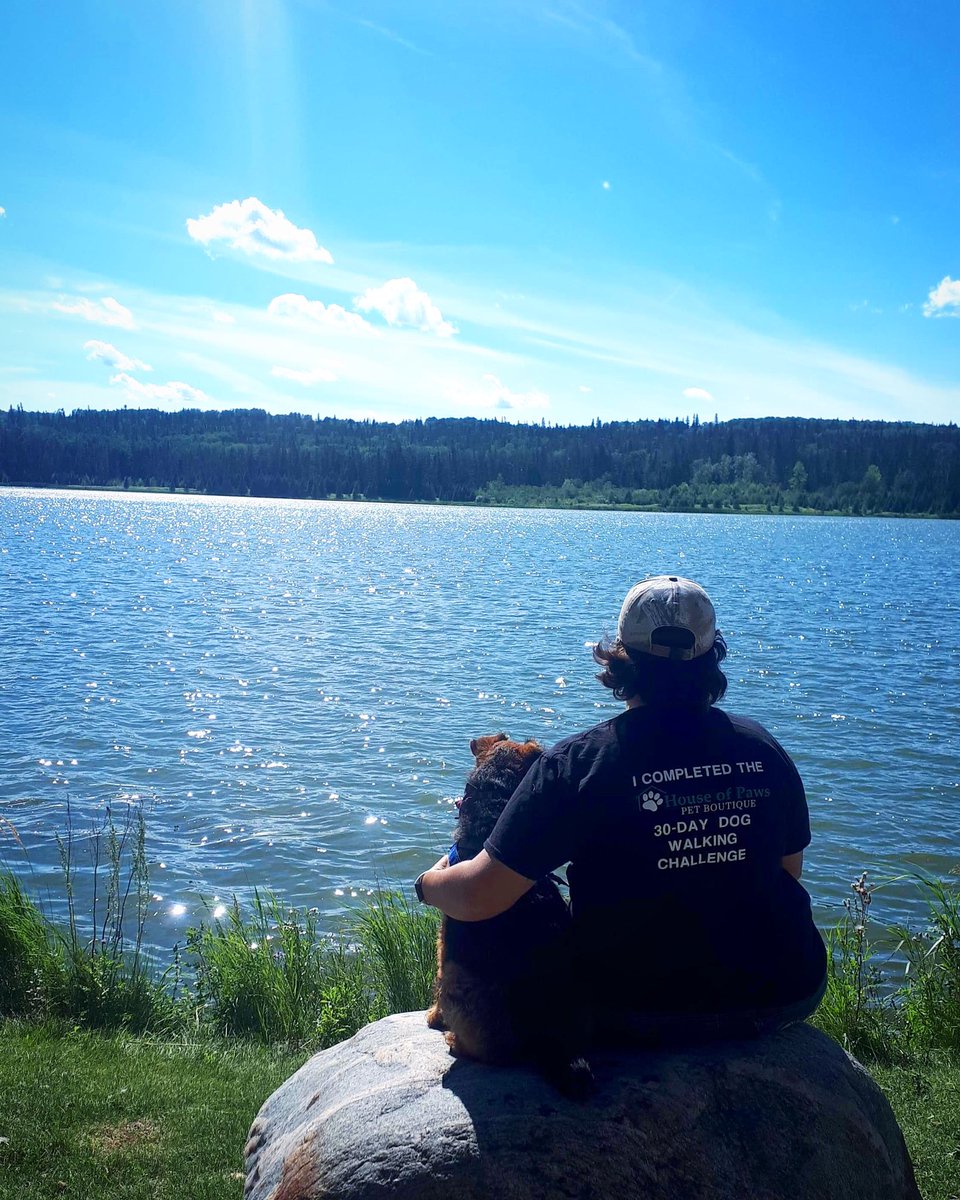 Dory & Rudy the welsh🇨🇦🌈 tweet media