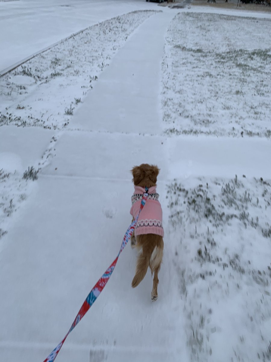 ladybug in the snow with her sweater