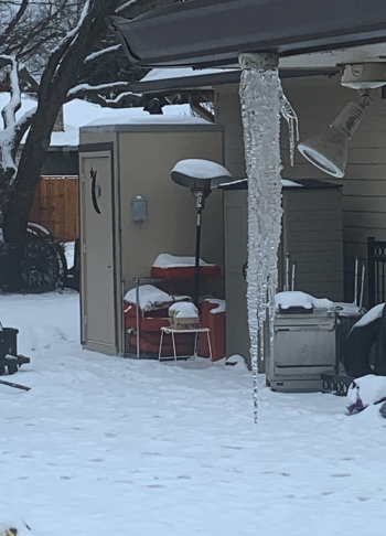 no pets but here's an icicle