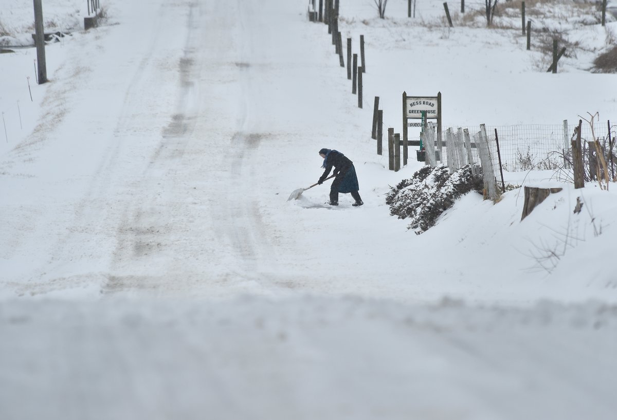 SuzetteLNP's tweet photo. An Amish woman shovels snow at the end of her driveway along the 300 block of Hess Road in Leola. @LancasterOnline #lancastersnow snow2021 https://t.co/5JNOst9c9N