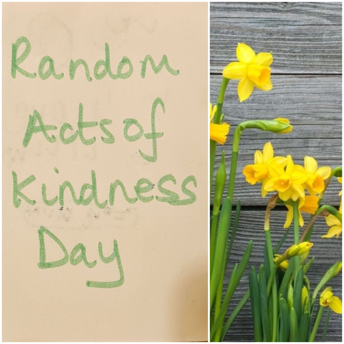 GardenStudio61's tweet photo. Beautiful flowers received yesterday at my doorstep with a note 'Random Acts of Kindness Day' ! I call it hope for tomorrow #actofkindness #community https://t.co/BgEk6odJ9p