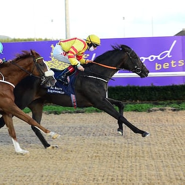 DundalkStadium's tweet photo. We would like to wish @adomcguinness1, @WhelanRonan &amp; owners Total Recall Racing Club the very best of luck tomorrow as Group 3 @ABE_Dubai Diamond Stakes 2020 winner BOWERMAN competes  for the $200,000 Qatar Group 2 Irish Thoroughbred Marketing Cup over 1600m at Doha 🍀 https://t.co/s2iZirbma6