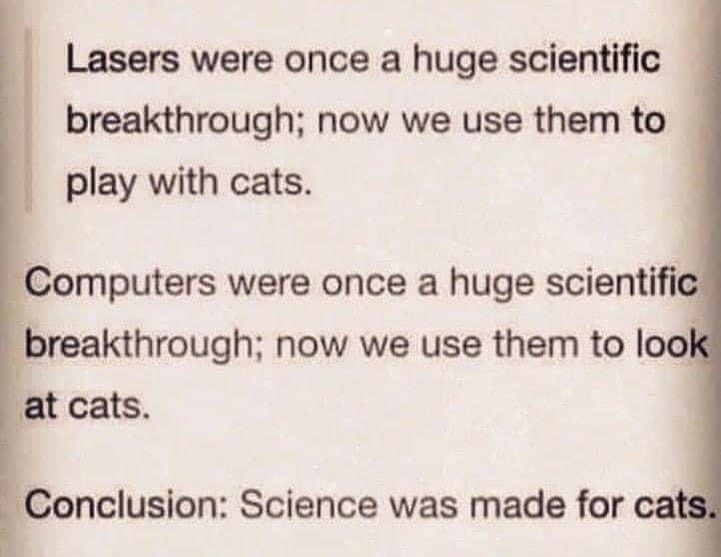 catsnkittys's tweet photo. Make of that what you will !! https://t.co/dO3cIUY89m