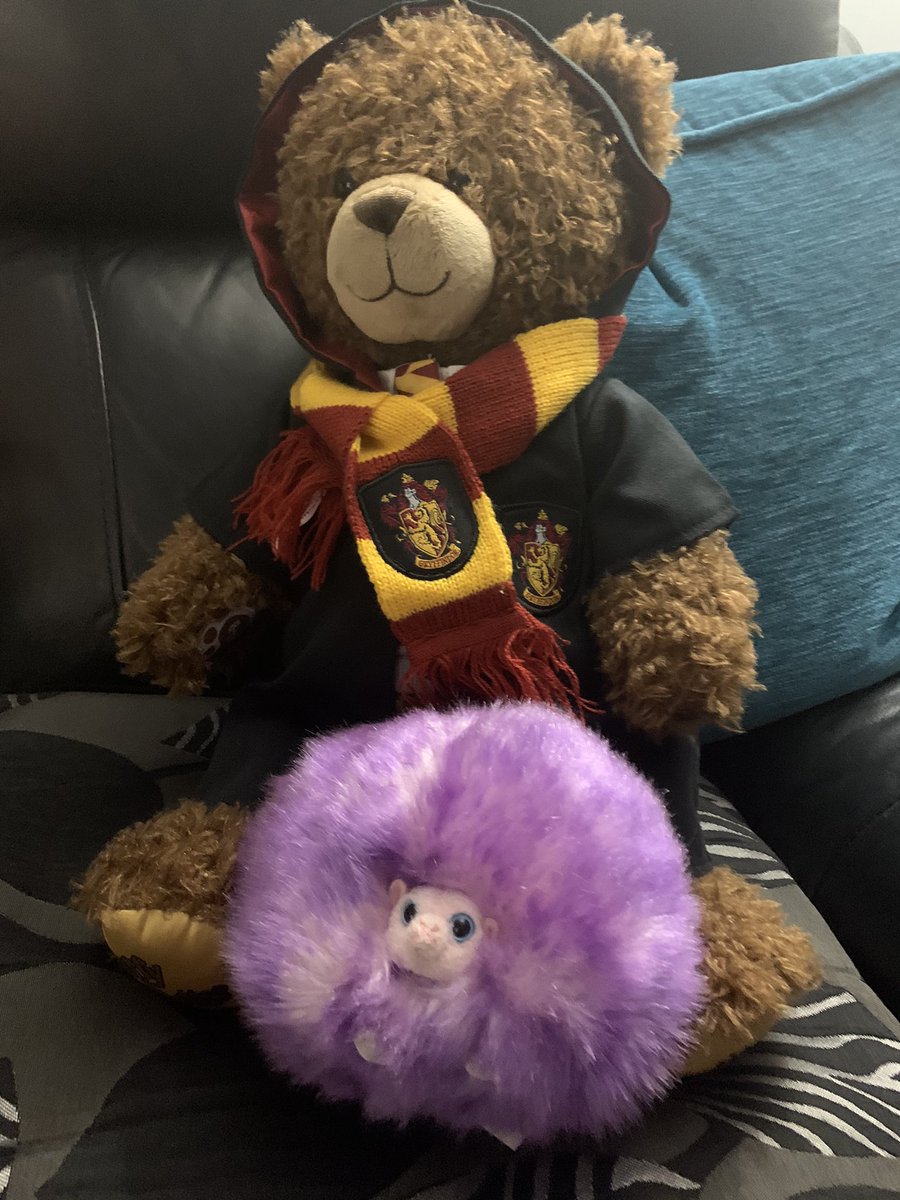 The Wellsy Wandwavers #ourmascots #SkyVIP