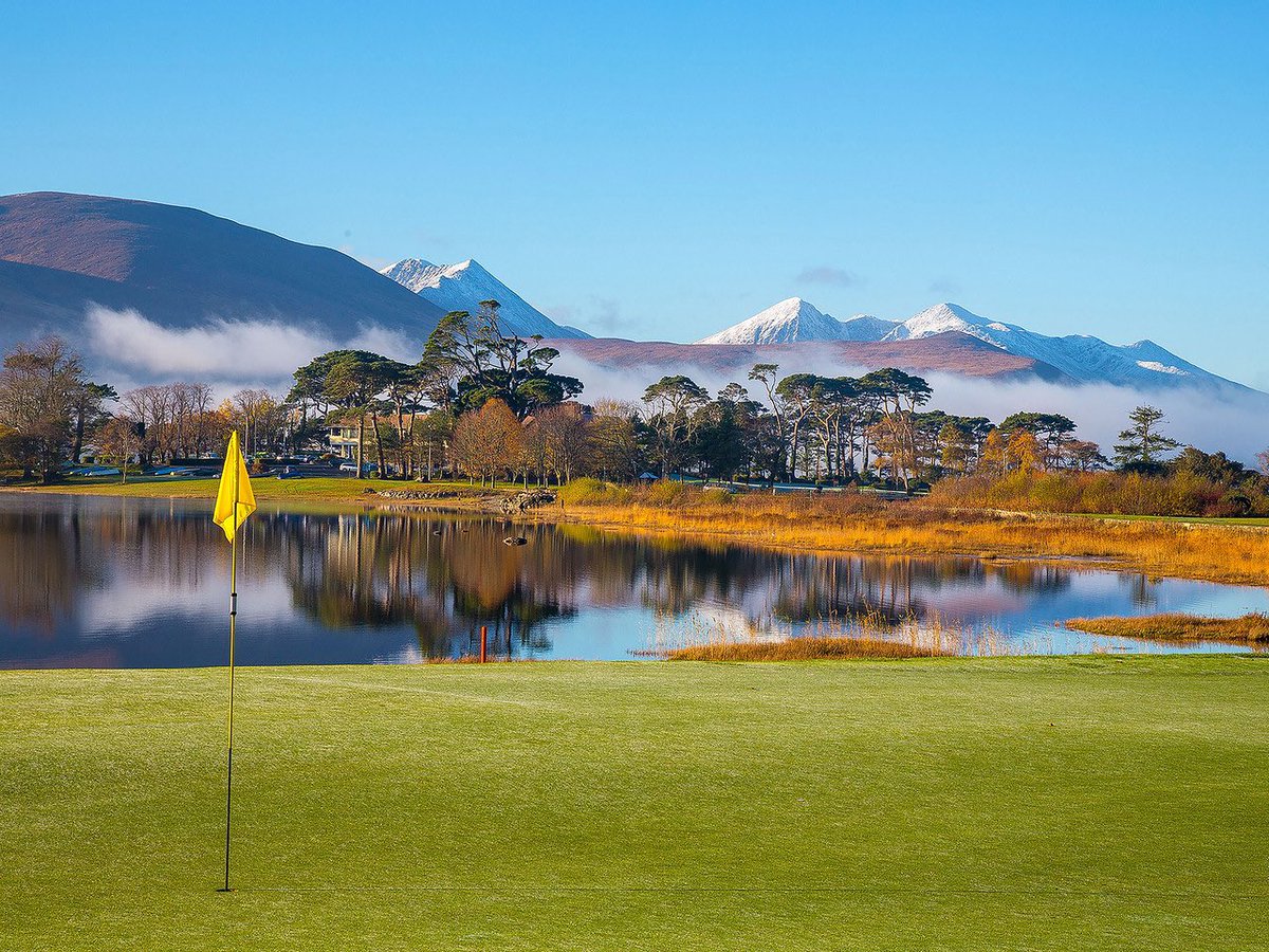 Fairways and FunDays tweet media