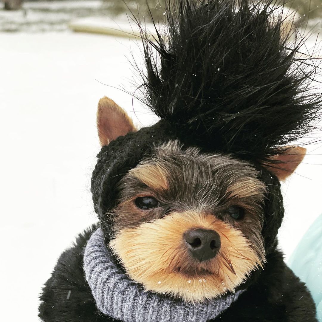 Someone is so done with the snow atm but Madeline and Dylan are loving this!