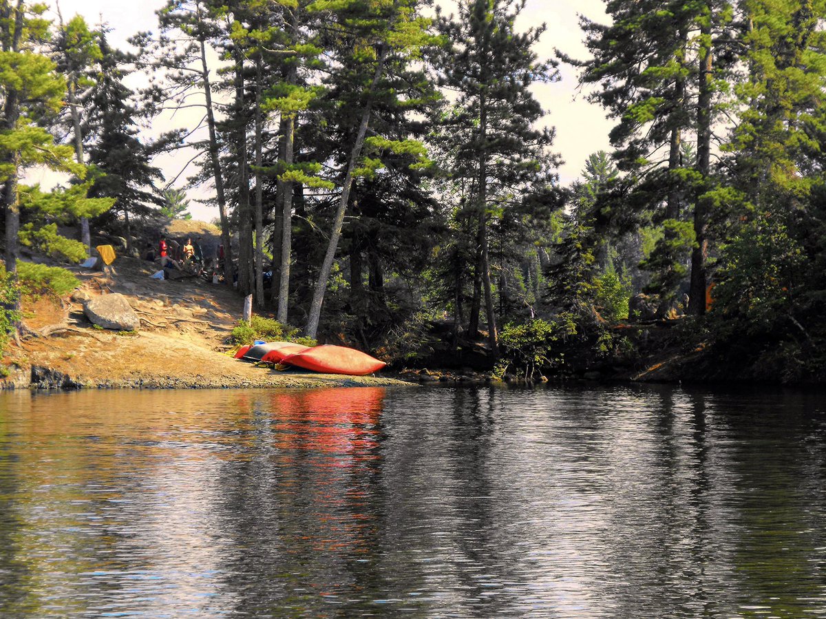 CityofKenora's tweet photo. Nature Conservancy of Canada is given the greenlight for their fundraising campaign, as the deal to purchase Town Island is reached with #cityofkenora.

https://t.co/V2pVtURe0b

📷provided by @NCC_CNC https://t.co/1Y6JK90AbY