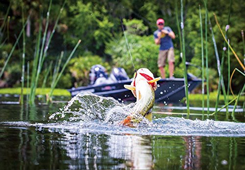 Backwoods General Store (@backwoodsstore) on Twitter photo The joy of fishing, what can be better. Teaching and having your kids out doing you. Can not wait to hear the words "FISH ON "
#camping #hiking #hunting #fishing 
backwoodsgeneralstore.com/shop/ The joy of fishing, what can be better. Teaching and having your kids out doing you. Can not wait to hear the words "FISH ON "
#camping #hiking #hunting #fishing 
backwoodsgeneralstore.com/shop/