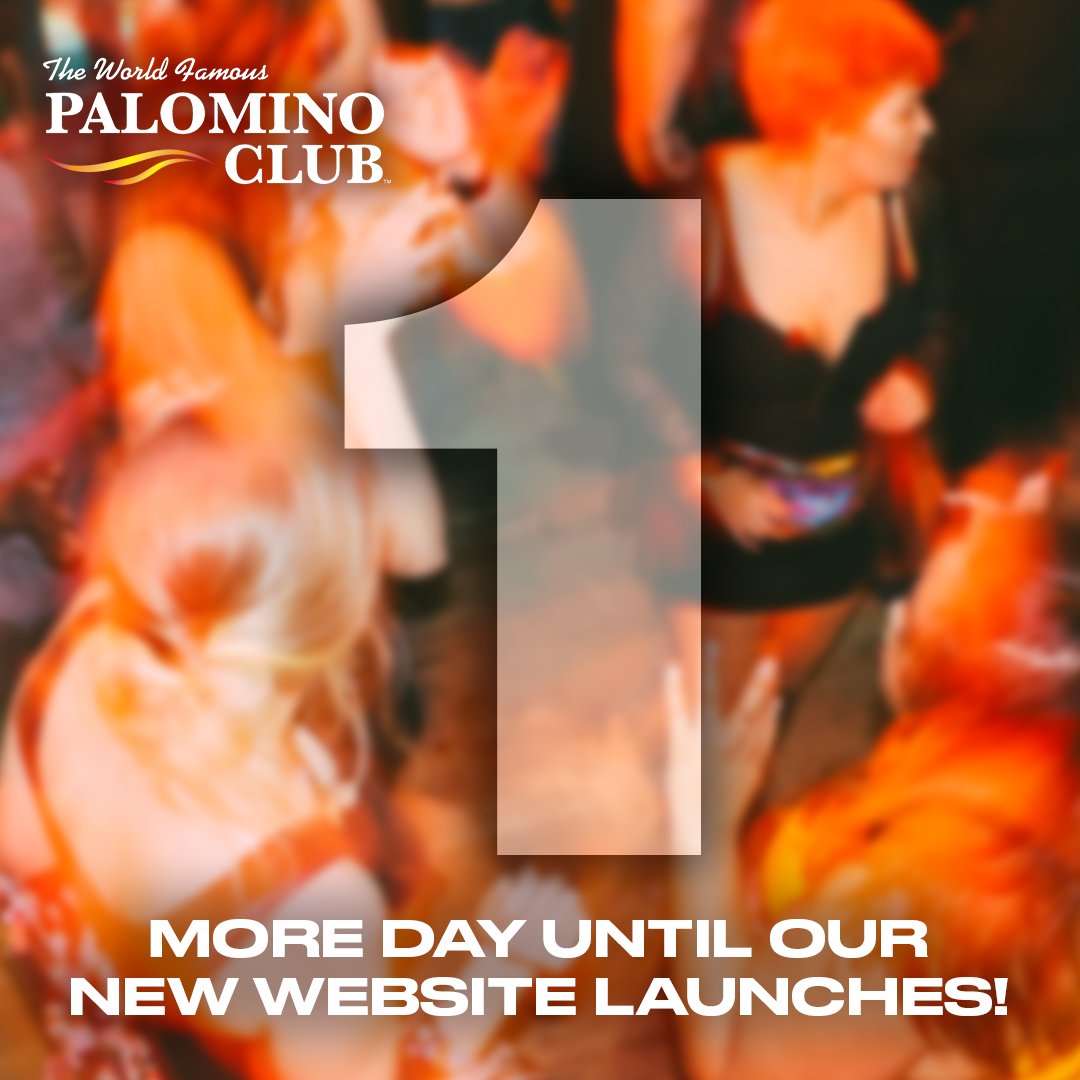 Our new website launches TOMORROW! 🎊 We're excited for you to see what we've been working on. #PalominoClub