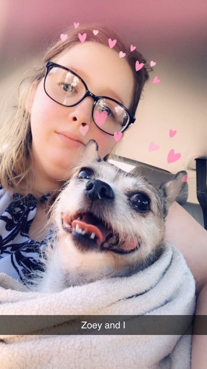 KayDecoy's tweet photo. In loving memory of my Zoey bear 2-14-21 I love you zo zo I am waiting till I can get your ashes back so I can carry them in my necklace so we won’t be apart https://t.co/Ch2PaVliiV