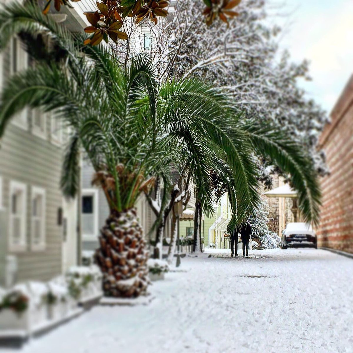 TematiqueTour's tweet photo. Postcard-like views of snow-covered historical #OttomanHouses lined along the #picturesque #SoğukÇeşmeSokağı ❄️🤗🌨☃️🤗⛄️ 

#istanbulTours #istanbulTourGuide #IstanbulPrivateTours #snow #istanbul #winter2021 #istanbulwinter #winterstory
#tematique #kalamakitour #Turkey https://t.co/fUPp8MzmeB