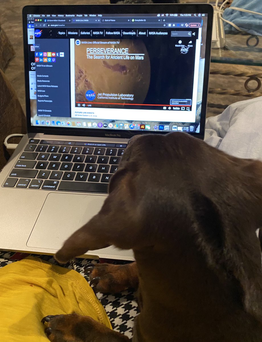 deltaroots14's tweet photo. Winnie and I are watching #CountdownToMars https://t.co/19WNgv7YrX
