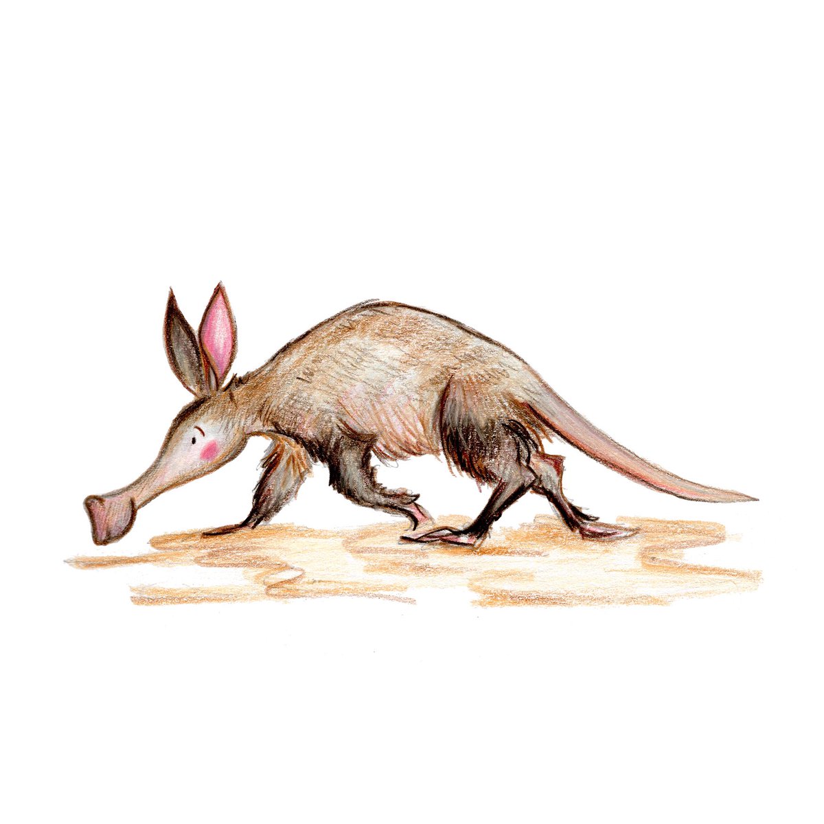 It’s Aardy the Aardvark, here to brighten up your Thursday evening! 

I’m not great at remembering to post to Twitter so if anyone would like to say hello on Instagram I’m easier to find! Find me @ elisapeel.illustration 

#illustration #aardvark