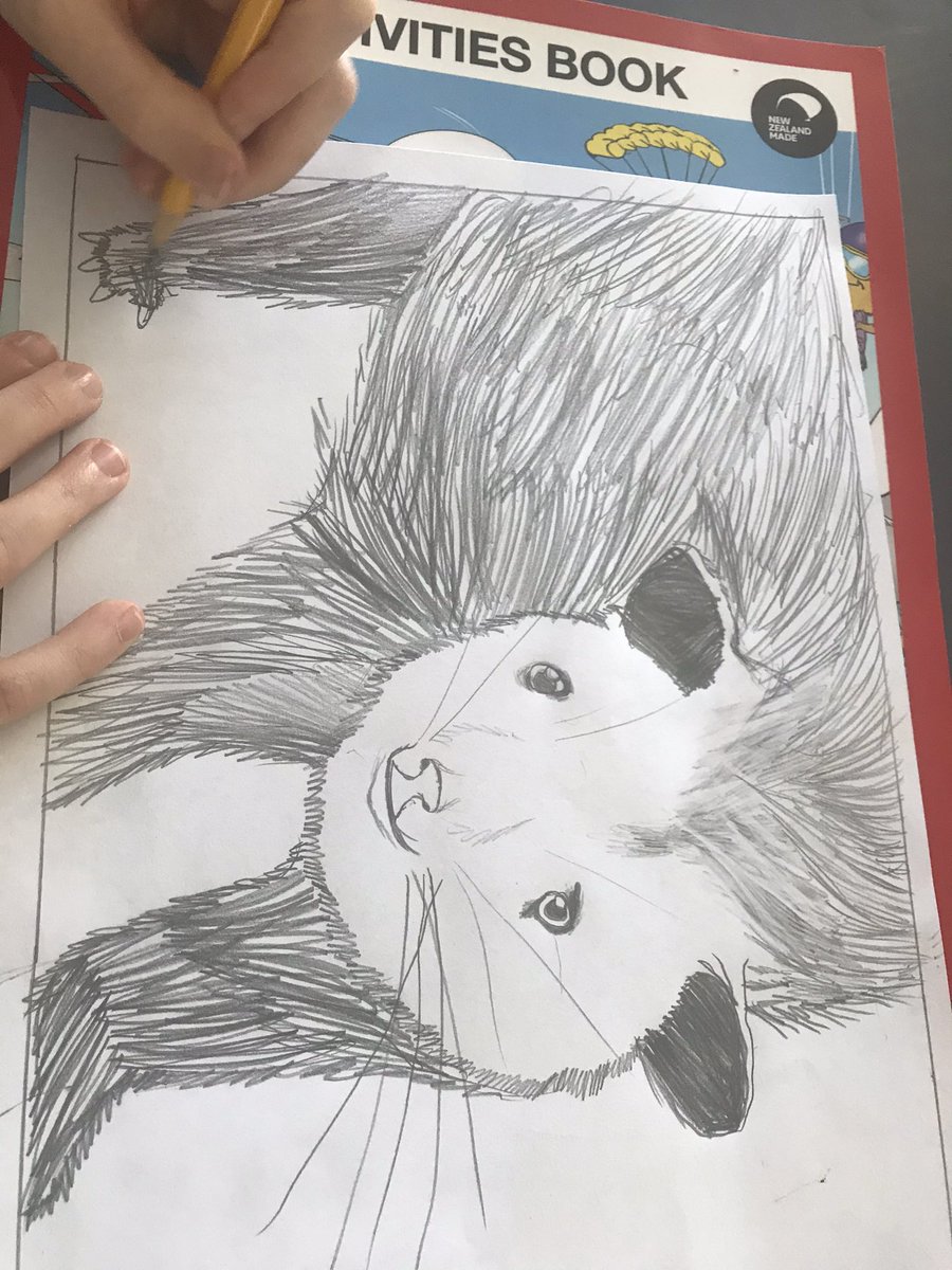 learner_maker's tweet photo. Amelia’s opossum drawing https://t.co/kUPK9vPPSG