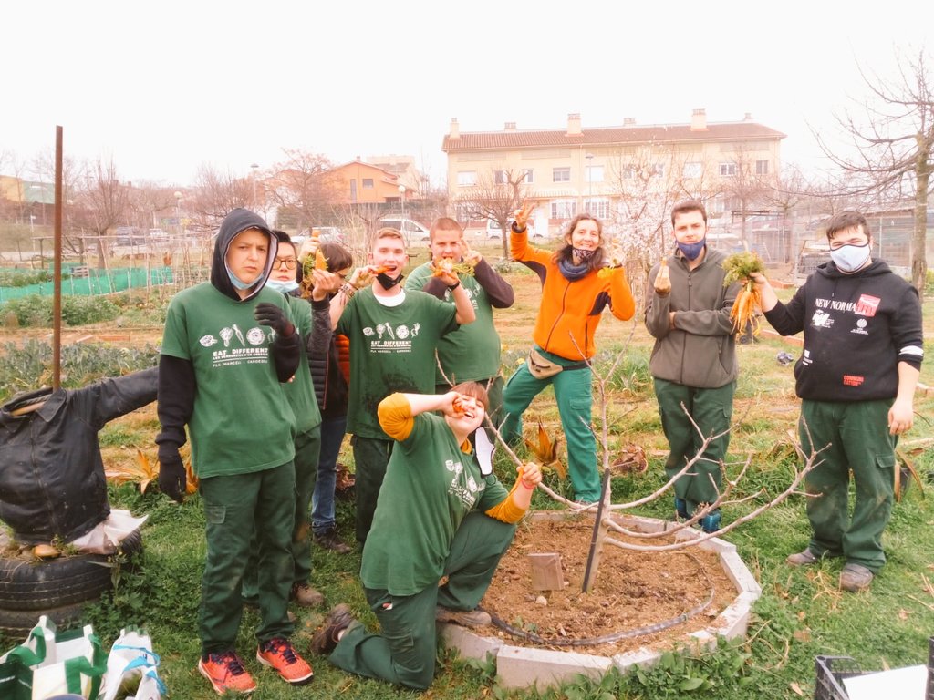 INS_Pla_Marcell's tweet photo. Quines pastanagues 🥕🥕🥕tant bones que cultivem i venem els nois i noies de l'IFE. Impressionant el gust!!! Això i la producció d ous que amb els dies llargs augmenten tenim les comandes a tope!! #IFE @SSTTMVO https://t.co/0TroXD8utm