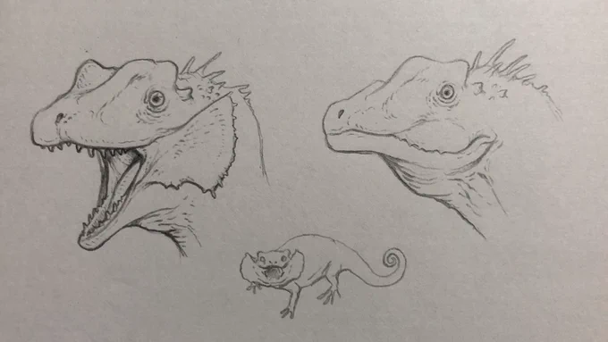@Nix_N_nitz @CoryTregoErdner I'm the kind of person who puts a scarf on Dilophosaurus and restores it for fun? 