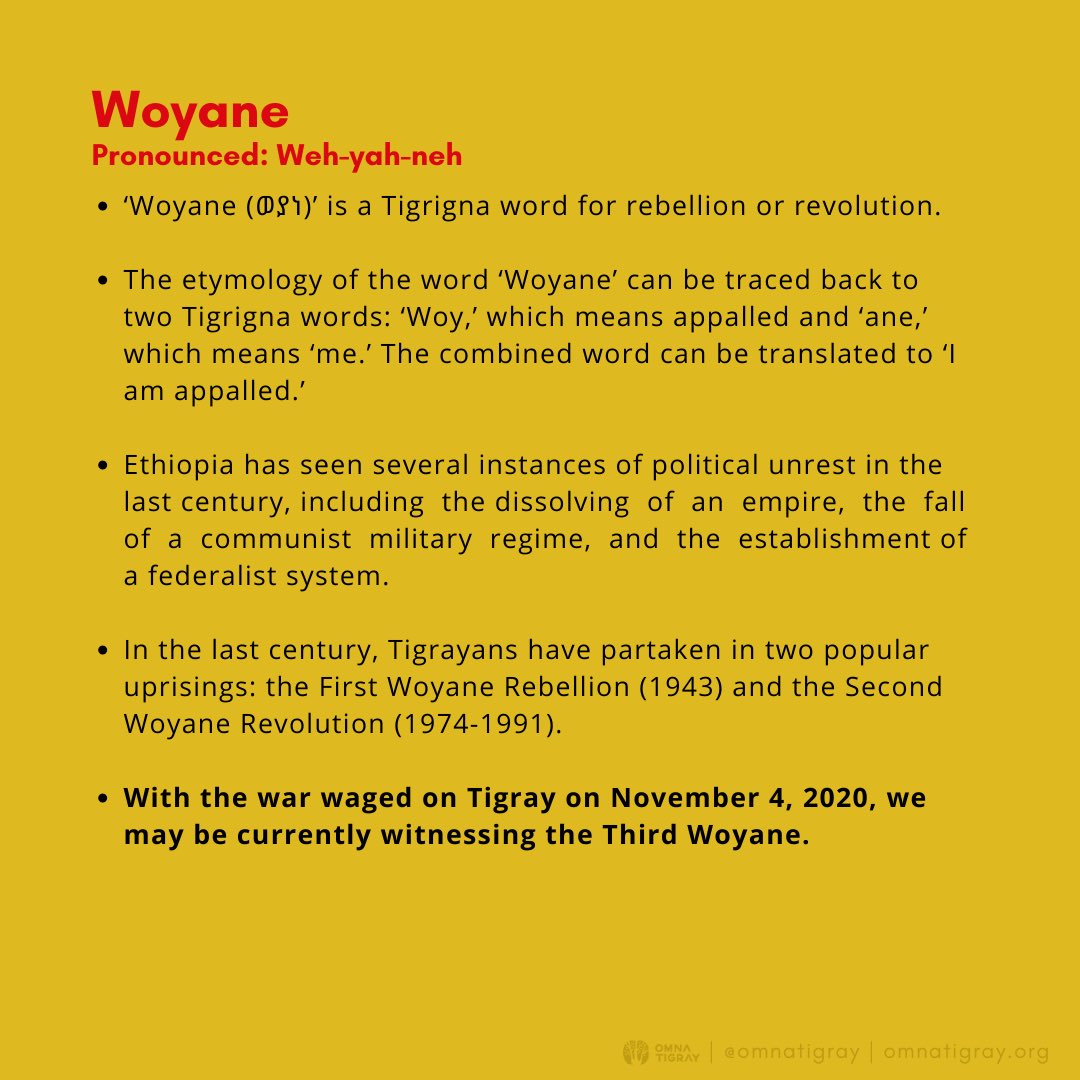 Woyane is a Tigrigna word for rebellion or revolution. In the last century, Tigrayans have partaken in two popular uprisings: the First Woyane Rebellion and the Second Woyane Revolution. With the war waged on Tigray on Nov 4, 2020, we may be currently witness the Third Woyane.