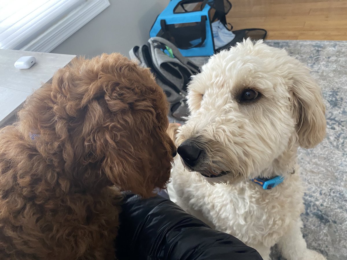 Nicki Jhabvala tweet media