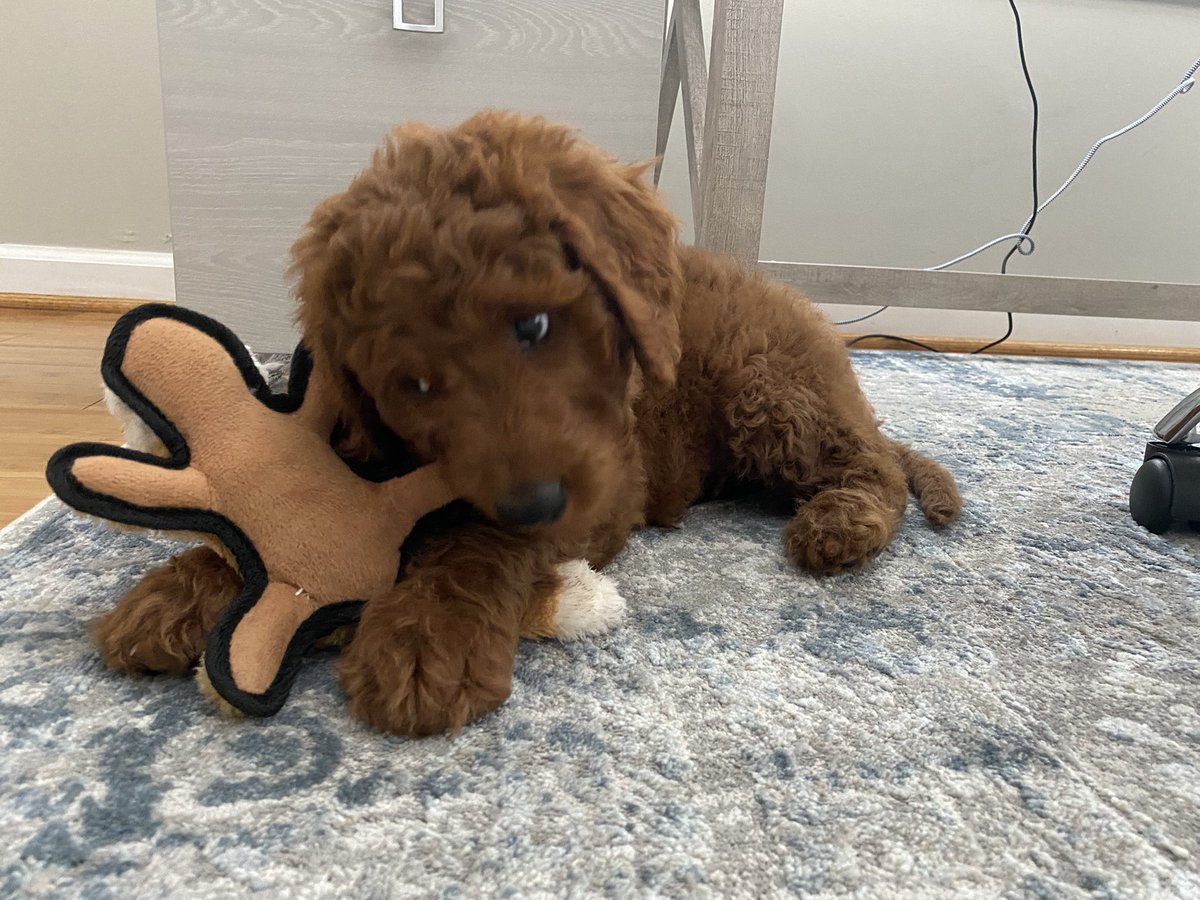 Nicki Jhabvala tweet media