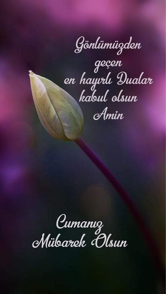"EyU OĞUL SABIR OL ŞAKİR OL ZAKİR OL GAFİL OLMA . MELÜL OL MAĞDUR OL MAZLUM OL ZALİM OLMA."
               🌷🌷🌷
 M.SAKİ ELHÜSEYNİ HZ.
