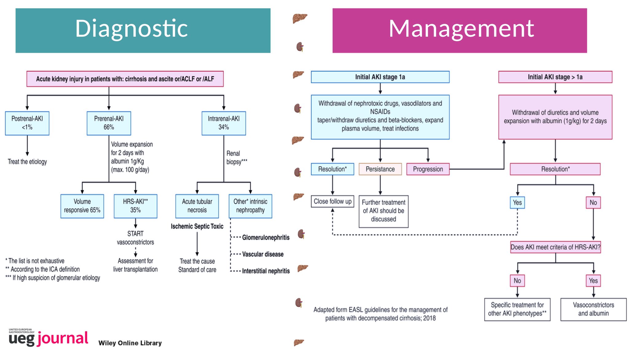 Liver Cirrhosis Treatment liver-cirrhosis-treatment