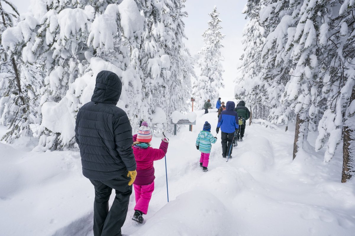 What are your weekend plans?<a href="/activeforlife/">activeforlife</a> has put together a great guide to some of the best winter walking trails across Canada at bit.ly/3u93cwt. In our region, the <a href="/NCC_CCN/">National Capital Commission</a> has added 50% more accessible winter trail space to the Ottawa area! bit.ly/2Ni9QQw