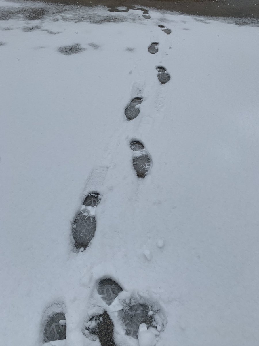 denisevaluk's tweet photo. Anyone else roaming the Arctic tundra right now because they can’t be in the house for one more minute with their kids!?!?! #Snowmageddon2021 #TexasIsClosed https://t.co/wvZxi75zQ3