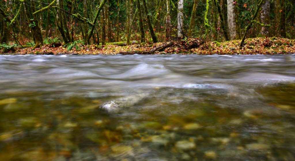 "Just as our ancestors and grandmothers have performed water ceremonies since time immemorial, First Nations have understood that water is sacred and must be protected, appreciated, and honoured."

watercanada.net/serious-action…