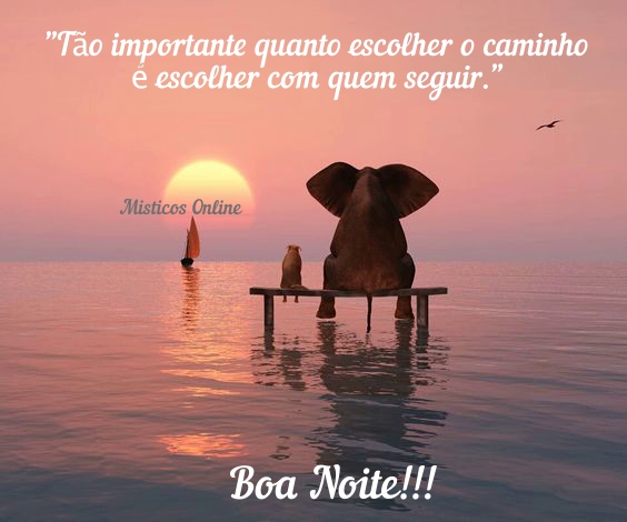 Místicos Online - Boa noite!!!🦋🦋🦋