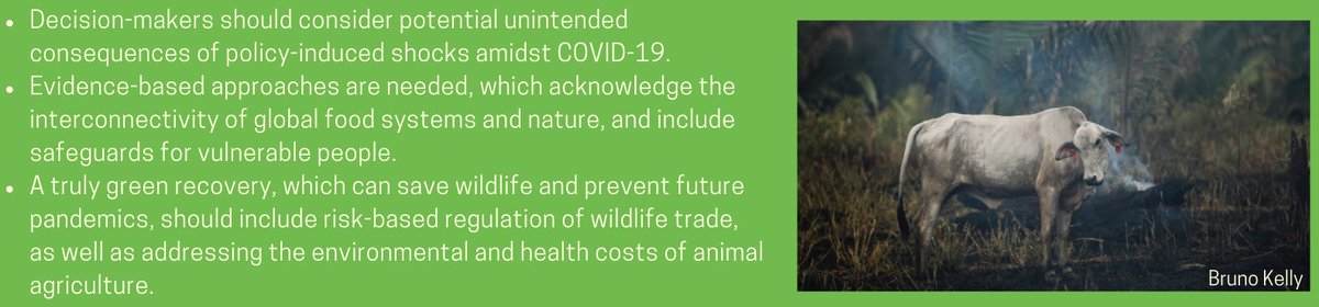 (11/n) WHAT NEXT? An evidence-based food systems approach:  Risk-based regulation of  #wildlifetradeAND Acknowledging & addressing the huge environmental & health costs of animal  #agriculture(plus no more scapegoating & 'othering' of wildlife use)