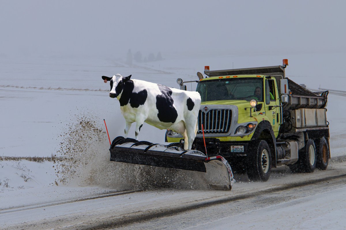 wsdot's tweet photo. OK, well, NASA put a rover on Mars but we put a cow on a plow so. ... https://t.co/oBZ3mQ7j7y