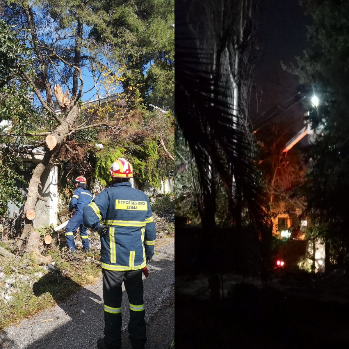 Laura Tapini tweet media