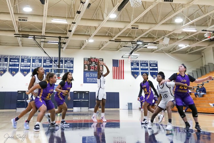 Lady Wildcats tweet media