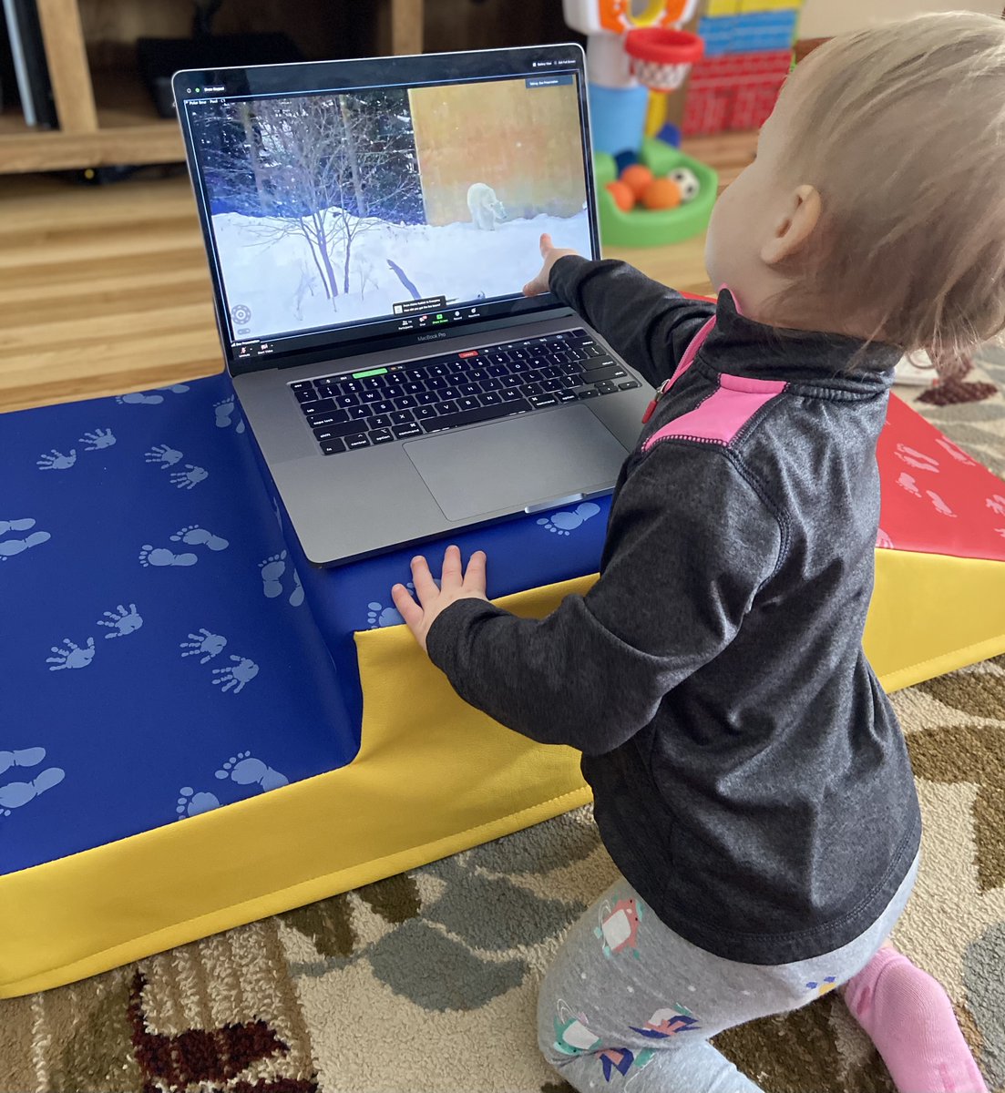 BCBSWNY's tweet photo. As part of the February Fun in 2021 series, Western New Yorkers joined The @buffalozoo for a virtual field trip this afternoon to discover how animals have developed amazing adaptations to allow them to survive in their environment! 💙❄️ https://t.co/bzX8KjNbdB