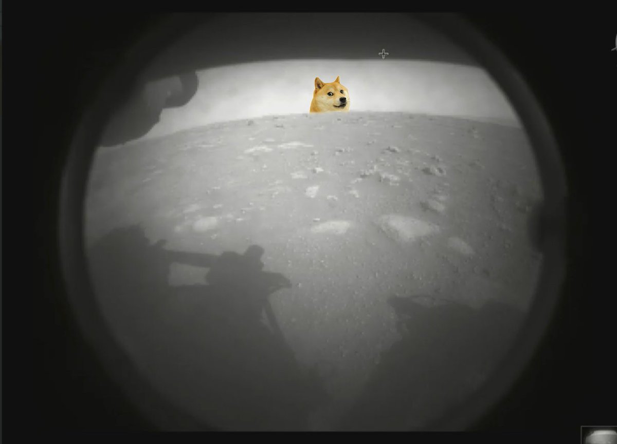 This just in from <a href="/NASAPersevere/">ARCHIVED - NASA's Perseverance Mars Rover</a>: life found on Mars! #DOGE