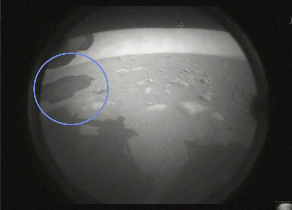 discord's tweet photo. wumpus is on mars this is so crazy https://t.co/0Ut4IZhVUk
